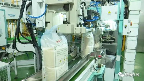 射陽(yáng)大米首獲省政府農(nóng)業(yè)技術(shù)推廣獎(jiǎng)，技術(shù)創(chuàng)新引領(lǐng)產(chǎn)業(yè)升級(jí)